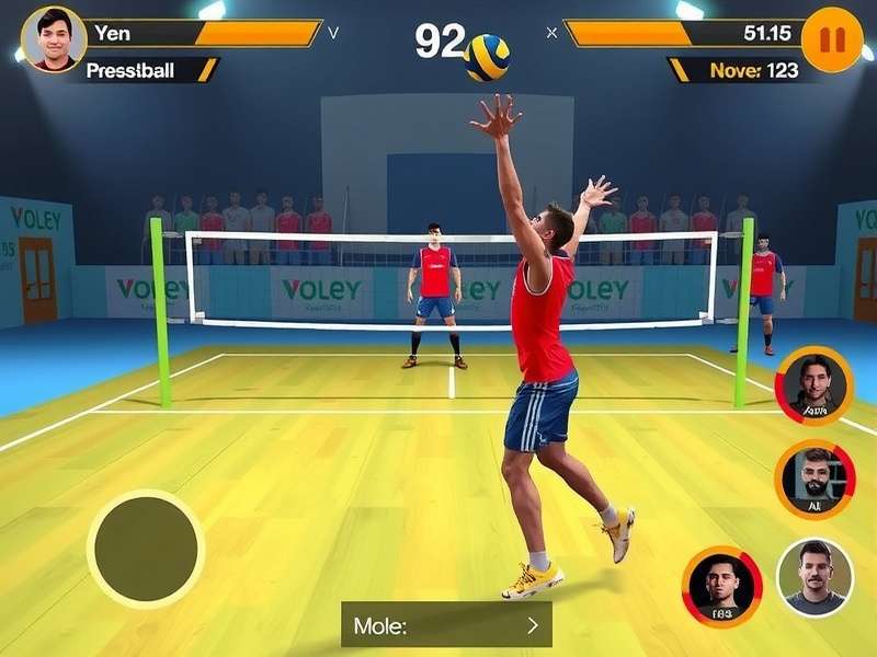 Volley Valiants Game Interface - Indian volleyball simulation